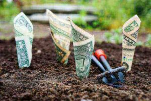 planting money