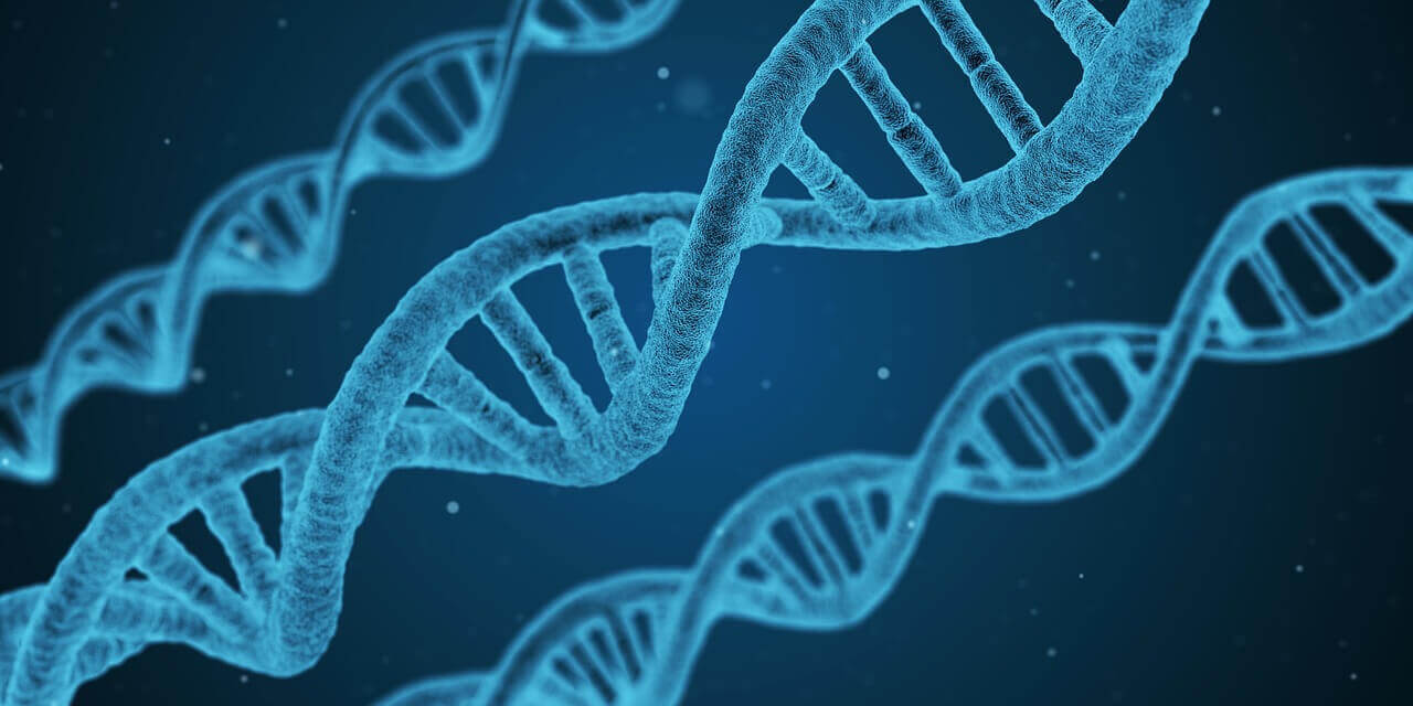 Biotecnologia, Setor Biotecnológico, Indústria de Biotecnologia Chile