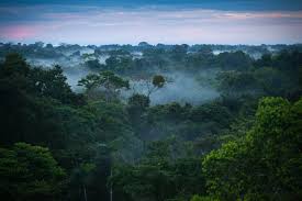 Minería en Amazonas Brasil