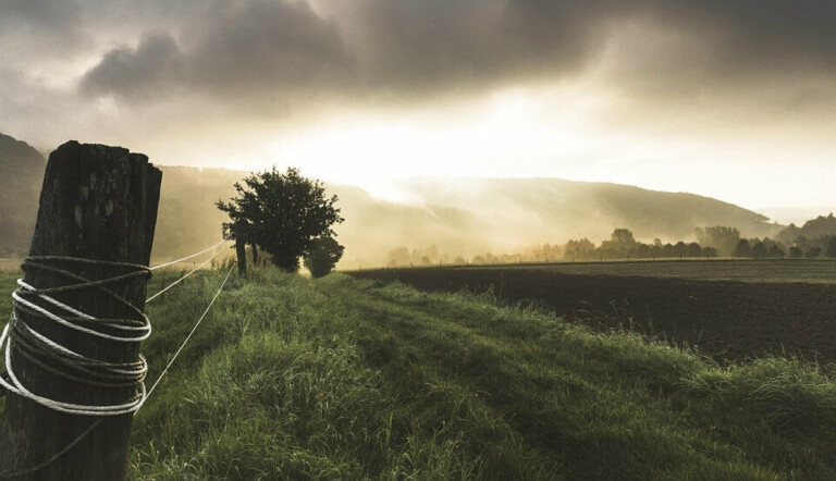 latin america agriculture australian market