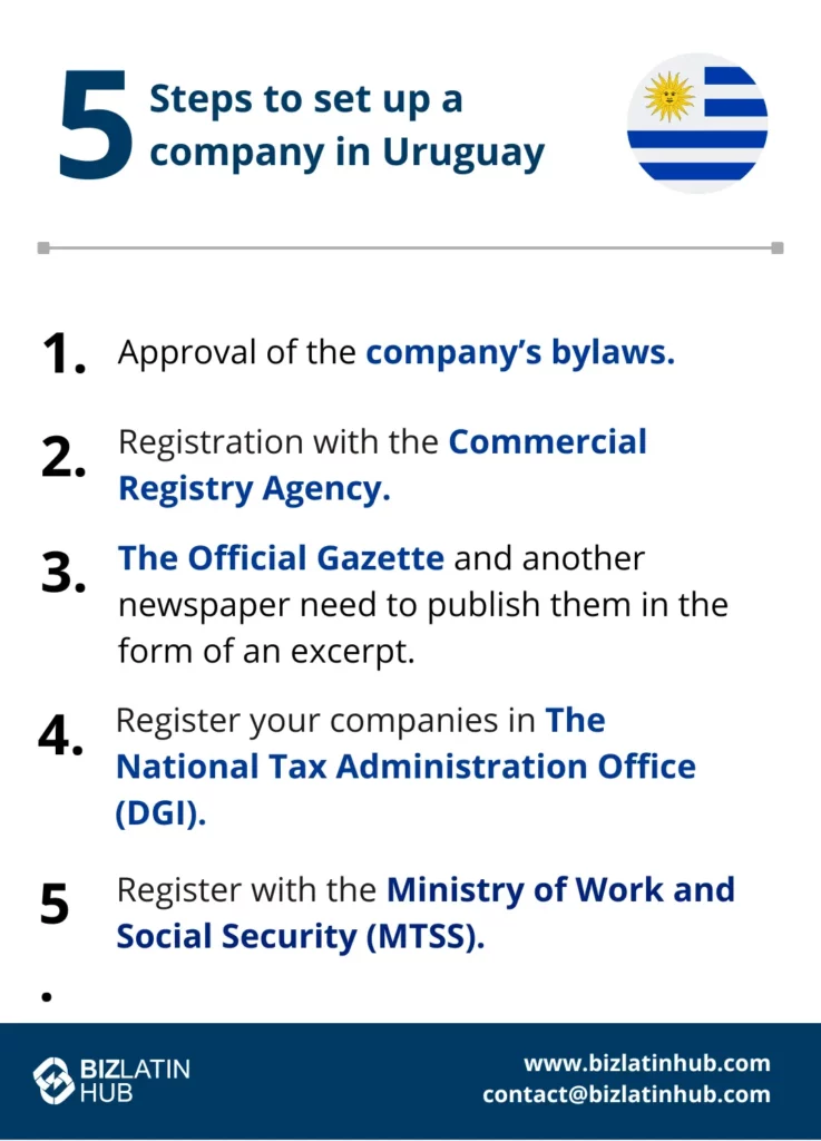 An infographic titled "5 Steps to Set Up a Business in Uruguay" with a list: 1. Approval of the company’s bylaws. 2. Registration with the Commercial Registry Agency. 3. Publish in The Official Gazette. 4. Register with the National Tax Administration Office. 5. Register with the Ministry of Work and Social Security. Includes Biz Latin Hub logo and contact information