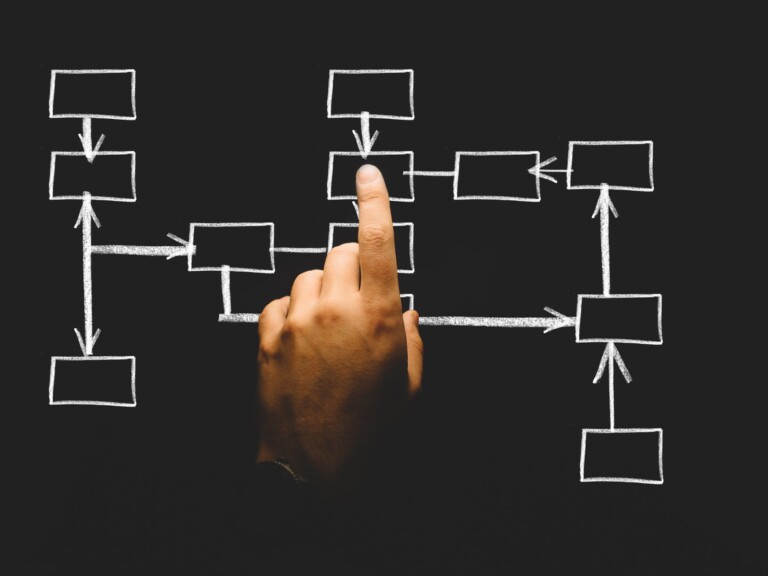 new zealand business structures