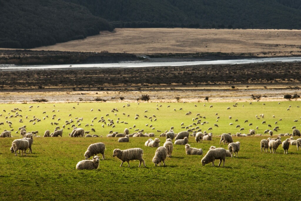 Agritech New Zealand