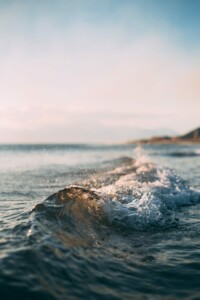 An image of a calm ocean wave rolling toward the shore during sunset, possibly in New Zealand. The sky is clear with a warm glow, and there are distant, faint outlines of hills or mountains along the coastline. The water exhibits small ripples and reflections from the setting sun.