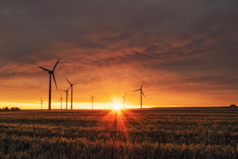 Renewable Energy Industries in Australia and New Zealand