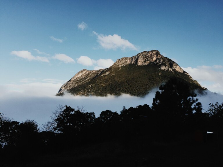 A mountain with a rocky peak rises above a layer of low-lying clouds in Mexico. The foreground features silhouettes of trees against a clear, blue sky with a few scattered clouds.