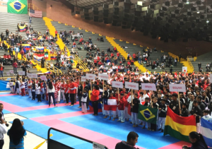 A large group of athletes from various countries stands in a gymnasium, holding their national flags and signs with country names, representing the evolution of karate at the Panamerican Championships. The crowd fills part of the bleachers in the background, and the floor is covered with blue and pink mats typical for martial arts events.