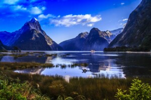 new zealand biosecurity pledge