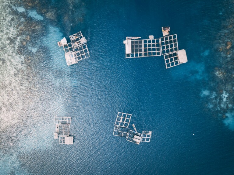 Aerial view of several floating fish farms arranged in grid-like structures on a blue expanse of water. The scene, characteristic of aquaculture in Latin America, shows deep waters with lighter blue areas indicating varying depths or underwater features. The overall image is calm and orderly.