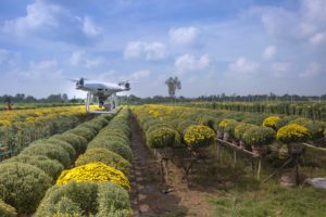 Tecnología de agricultura en América Central