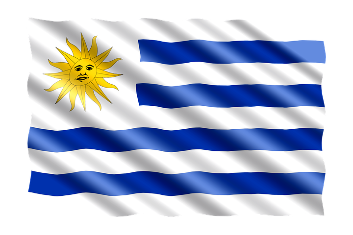 Uruguayan flag.