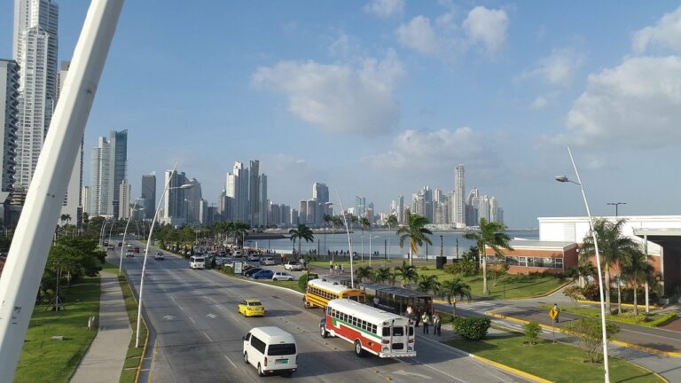 Image showing a coastal city skyline with numerous high-rise buildings, depicting the thriving business in Panama. The scene features a wide road with several vehicles, including buses and cars, lined with palm trees. There is a body of water in the background under a partly cloudy sky.