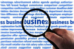 A hand holding a magnifying glass focuses on the word "business" in the center of the image. Surrounding the magnified word are numerous business-related terms, including "Due Diligence in Brazil," in varying font sizes and shades of blue, creating a word cloud effect.