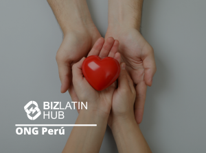 Imagen destacada para un artículo sobre ONG Perú