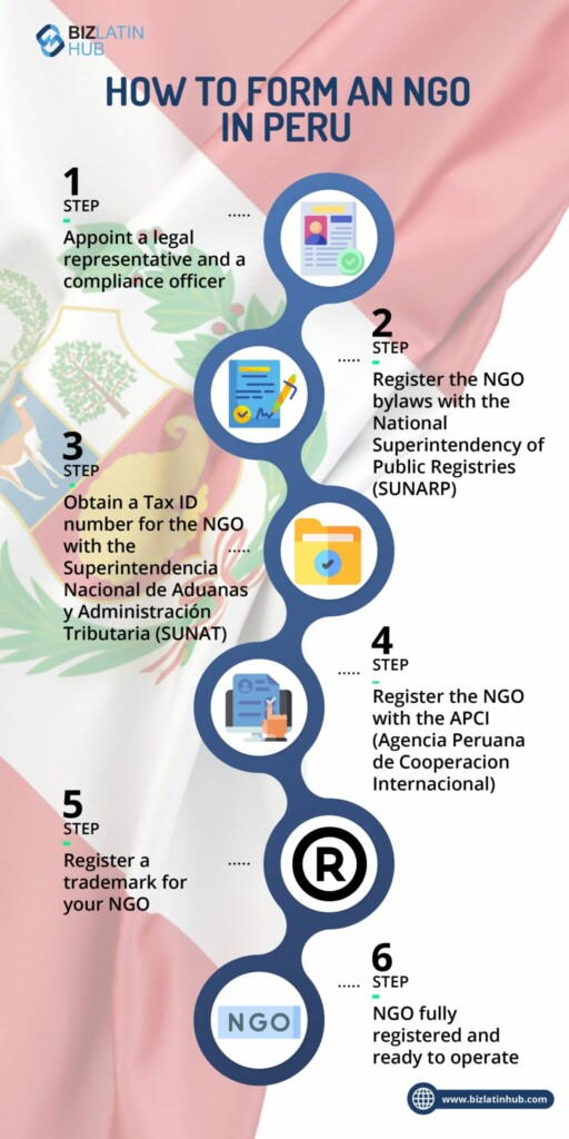 How to form an NGO in Peru