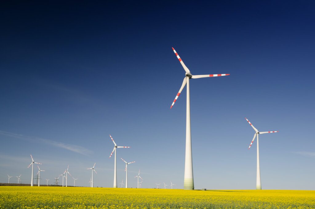 Wind energy field in Chile,