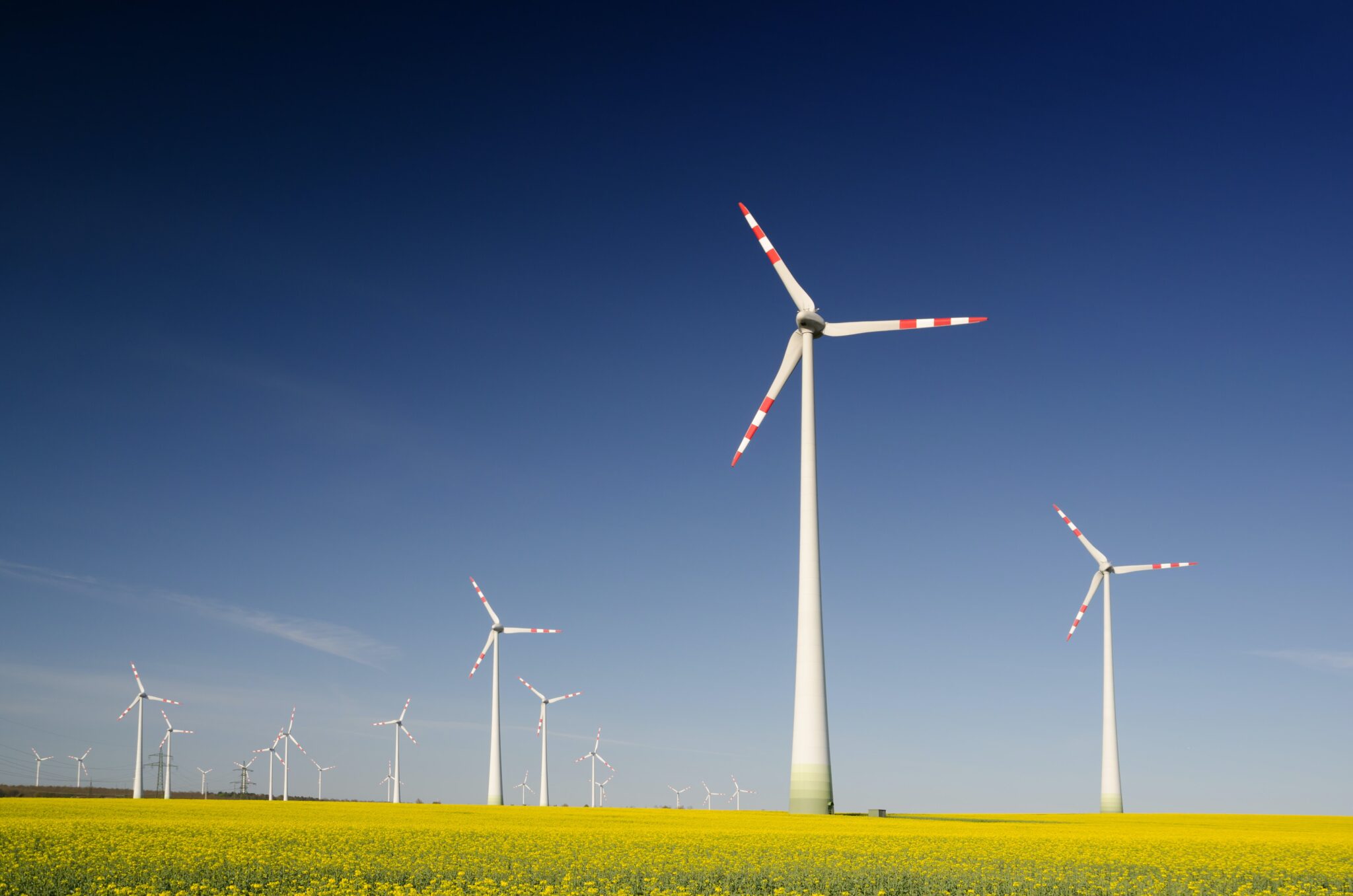 Wind energy field in Chile,
