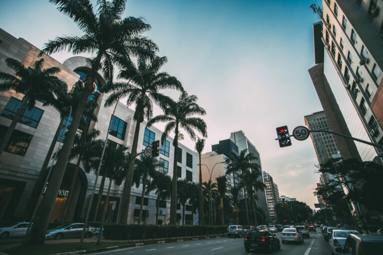 A busy city street lined with tall palm trees and various modern buildings on both sides is reminiscent of discussions about "impostos sobre empresas no Brasil." Numerous cars are visible on the road, with one stopped at a traffic light. Speed limit signs read 50 km/h. The sky is clear, with a slight gradient from light to dark.