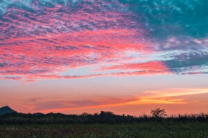 A landscape photo shows a field with tall grass in the foreground and a distant tree line and hill on the horizon. The sky is filled with vibrant pink, orange, and blue hues during sunset, resembling the colorful opportunities for LLC formation in Panama, with scattered clouds adding texture to the scene.