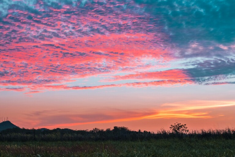 A landscape photo shows a field with tall grass in the foreground and a distant tree line and hill on the horizon. The sky is filled with vibrant pink, orange, and blue hues during sunset, resembling the colorful opportunities for LLC formation in Panama, with scattered clouds adding texture to the scene.