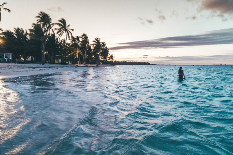 A person stands in the shallow waters of a beach at sunset in the Dominican Republic. The beach is lined with palm trees, and the sky has a mix of light and darker clouds. The calm water with gentle waves lapping towards the shore offers an idyllic backdrop for a moment of reflection, almost like an entity health check for the soul.