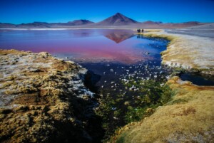 A picturesque landscape in Bolivia featuring a vivid red lake with a mountain in the background under a clear blue sky. A small stream winds through patches of grass and rocks in the foreground, while an attorney and a group of people walk by the lake's edge, soaking in the stunning scenery.