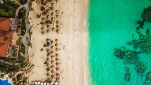 Aerial view of a beach in the Dominican Republic with turquoise waters. The sandy shore is lined with rows of beach umbrellas and lounge chairs. To the left, there are buildings and pathways surrounded by greenery, perfect for those looking to form an NGO in this tropical paradise. Some seaweed is visible in the water.