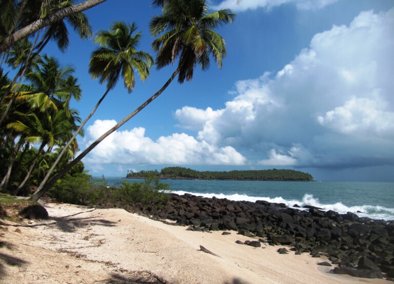 A tropical beach scene with a shoreline of sand and rocks. Tall palm trees line the edge of the beach. Offshore, there is a small, forested island. The sky is partly cloudy with patches of blue sky visible. Waves are gently crashing onto the shore—much like navigating company formation in Guyana's serene yet dynamic environment.