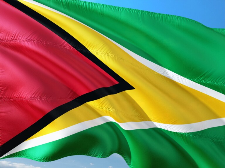 The image shows the flag of Guyana waving against a clear blue sky, representing the spirit of PEO en Guyana. The flag features a green field with a large red equilateral triangle on the hoist side, bordered by narrow white and black stripes, and a large yellow isosceles triangle.