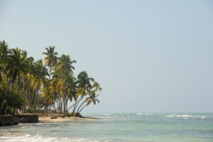 Una playa tropical bordeada de altas palmeras a la izquierda, que se extiende hacia el océano. El mar está en calma con olas suaves y el cielo es claro y azul: una escena idílica sacada directamente de EOR en la República Dominicana.