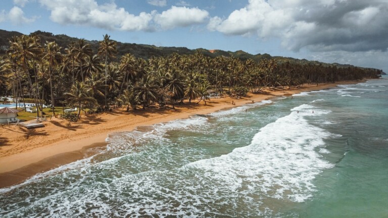 Una playa de arena dorada y múltiples palmeras bordeando la costa en la hermosa República Dominicana. Las suaves olas del océano llegan y se ven algunas nubes en el cielo. Hay algunas personas visibles en la playa y en el agua, disfrutando de un descanso de sus servicios administrativos.