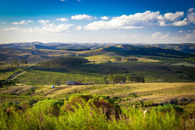 A rural landscape with rolling hills under a mostly blue sky with some scattered clouds. A solitary building and a few trees are visible in the middle distance, surrounded by expansive green and brown fields, reminiscent of the calm you might seek after dealing with Servicios Legales en Uruguay.