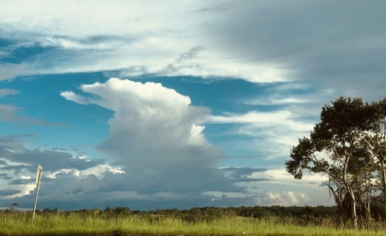 Un paisaje que presenta un cielo despejado con algunas nubes, incluida una nube prominente que se asemeja a una columna vertical. Hay un campo de hierba en primer plano y el borde de un árbol en el lado derecho. El horizonte, bordeado de árboles distantes, captura la tranquilidad de un lugar ideal para registrar negocios en Guyana.