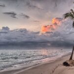 A sandy beach with gentle ocean waves under a cloudy sky. A single palm tree stands on the right side. The clouds have tinges of orange and pink from the setting or rising sun, creating a serene and peaceful atmosphere, reminiscent of a tranquil day in the República Dominicana.