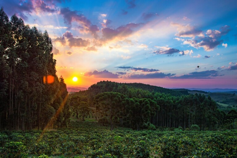 Una fotografía de un paisaje escénico al atardecer. El sol se pone cerca del horizonte, proyectando un brillo anaranjado y rayos a través de las nubes. Densos árboles y bosques llenan el primer plano y el fondo, con un cielo despejado que pasa del azul a tonos de rosa y morado, que recuerdan los momentos de paz después de consultar a un abogado en Brasil.