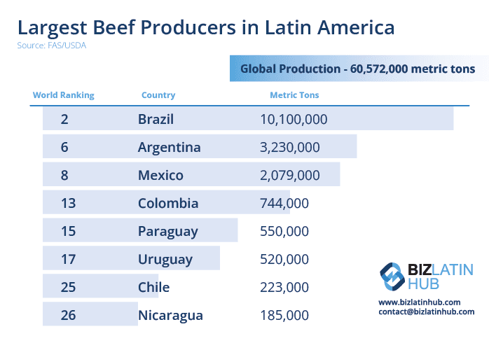 An infographic titled "Largest Beef Producers in Latin America" lists the global production as 60,572,000 metric tons. It ranks countries from 2 to 26 by world ranking and metric tons produced. Notably, it highlights efforts towards carbon neutral meat production. The Biz Latin Hub logo and contact details follow.