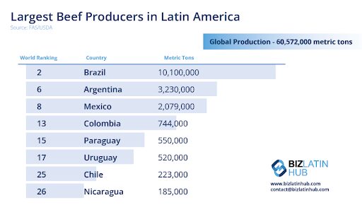 Gráfico de los mayores productores de carne de vacuno de América Latina.
Brasil encabeza la lista con 10.100.000 toneladas métricas, seguido de Argentina, con 3.230.000 toneladas métricas, y México, con 2.079.000 toneladas métricas.
También figuran Colombia, Paraguay, Uruguay, Chile y Nicaragua.
Los esfuerzos para una producción de carne neutra en carbono son cada vez mayores.