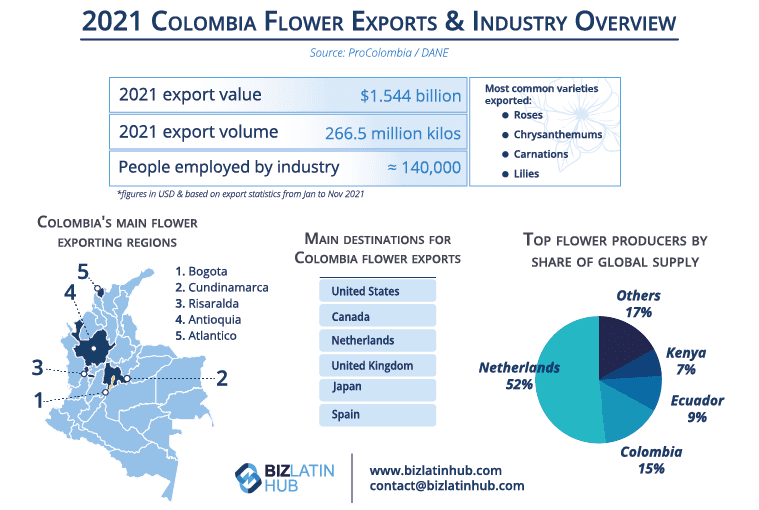 Infographic titled "2021 Colombia Flower Exports & Industry Overview" shows export volumes, employment numbers, export destinations, and primary flower types. Top destinations for Colombia flower exports: the U.S., Netherlands, Germany, Canada. Key flowers: Roses, Chrysanthemums, Carnations.