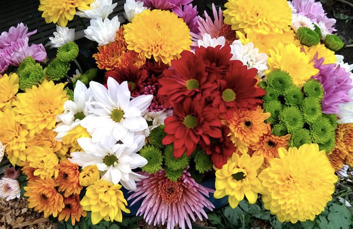 Un ramo de flores vibrante y diverso, que presenta una mezcla de flores amarillas, rojas, blancas, naranjas, rosas y verdes. Las flores incluyen margaritas y crisantemos, dispuestos muy juntos para formar una exhibición colorida y exuberante, que muestra las mejores exportaciones de flores que Colombia tiene para ofrecer.