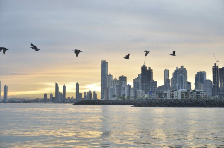 Al anochecer se ve un horizonte de rascacielos modernos, con un suave brillo anaranjado y amarillo del sol poniente. En primer plano, una bandada de pájaros sobrevuela el agua tranquila y reflectante. La escena tiene una atmósfera urbana y tranquila, que recuerda el lugar donde pueden florecer las oportunidades de Visa Inversionista Calificado Panamá.