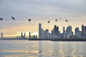 A city skyline at dawn with several modern skyscrapers is seen from across a body of water. The sky is light, with clouds showing hints of the sunrise. A formation of birds flies above the water in the foreground, evoking the promising horizons akin to opportunities like Visto de Investidor Qualificado no Panamá.