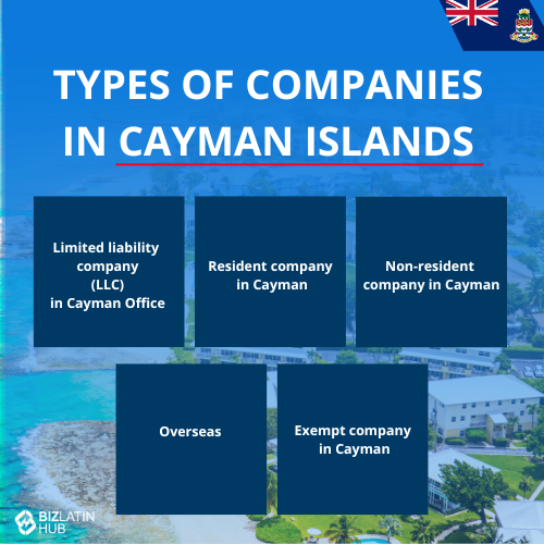 Infographic titled "Types of Companies in Cayman Islands" with a background of a coastal area. It lists: Limited liability company (LLC) in Cayman Office, Resident company in Cayman, Non-resident company in Cayman, Overseas, Exempt company in Cayman. Ideal for understanding company formation in the Cayman Islands.
