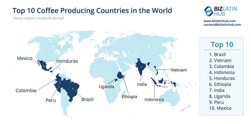 A world map highlights the top 10 coffee-producing countries: Brazil, Vietnam, Colombia, Indonesia, Honduras, Ethiopia, India, Uganda, Peru, and Mexico. A list of these countries appears on the right. At the top are the BizLatin Hub logo and contact information for doing business in Brazil.