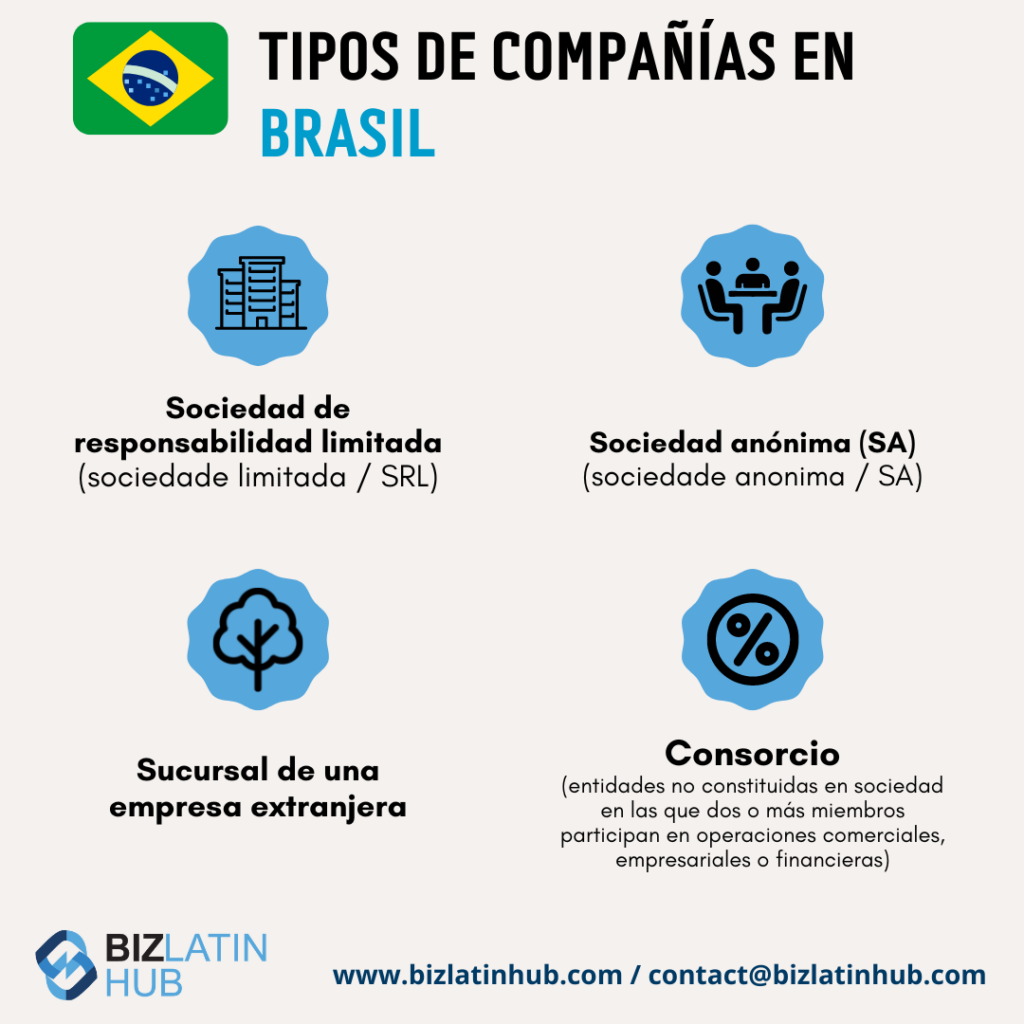 Biz Latin Hub Infografía sobre tipos de estructuras jurídicas en Brasil