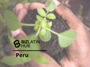 Two hands gently hold a small plant with fresh green leaves and soil, symbolizing growth. The image includes the Biz Latin Hub logo and the words "Business in Peru" beneath it, highlighting opportunities for new ventures.