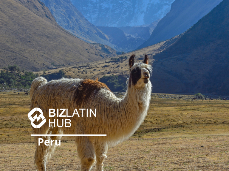 A llama stands in a grassy, open landscape in Peru, surrounded by mountains. The sky is clear, and snow-capped peaks are visible in the background. The image includes the BizLatin Hub logo with the text "Peru" underneath.