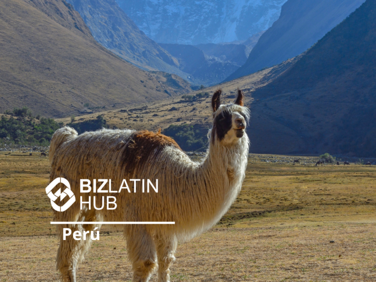 A llama stands on a dry plain with mountains in the background. The image has a logo in the lower left corner that reads "BIZLATIN HUB Perú." Snow-capped peaks are visible in the distance under a clear sky, capturing a high-altitude Andean landscape reminiscent of learning about tipos de visto na Colômbia.