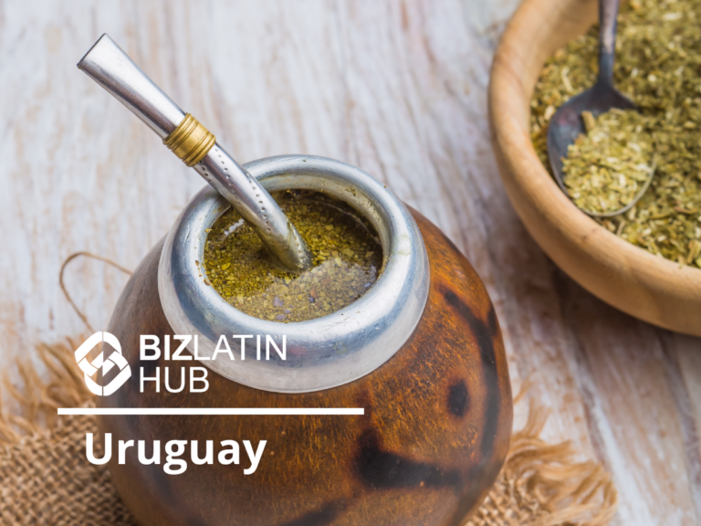 Close-up image of a traditional Uruguayan mate drink with a metal straw in a brown gourd container. A wooden bowl filled with dried yerba mate leaves is beside it. The text “BizLatin Hub Uruguay: Tax Residency in Uruguay” is displayed in the foreground.