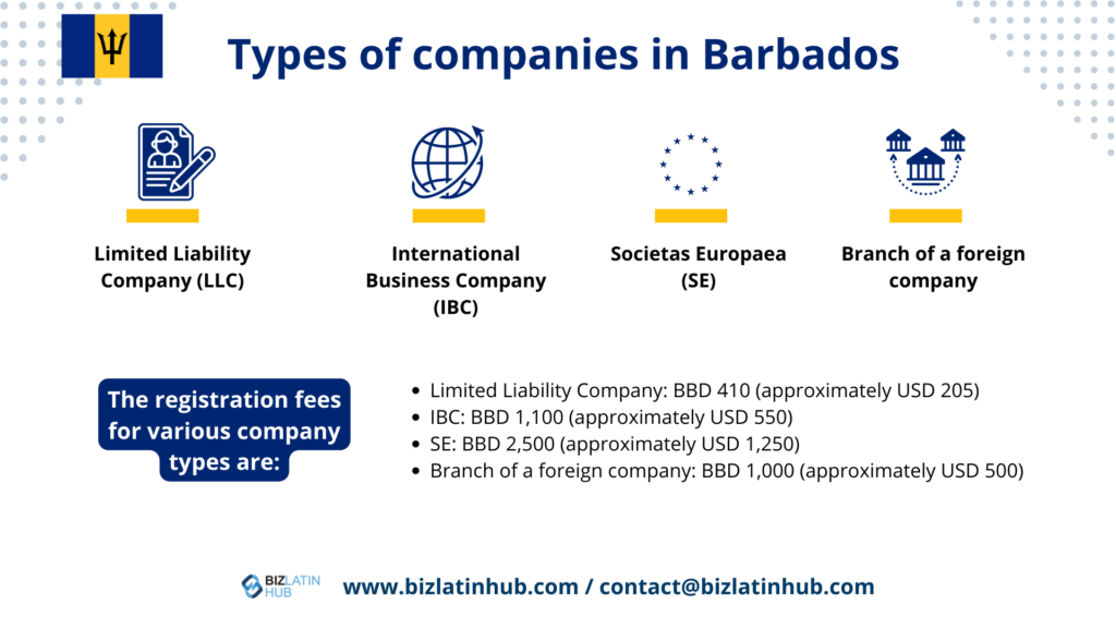 A graphic titled "Types of companies in Barbados" displays four company types: Limited Liability Company, International Business Company, Societas Europaea, and Branch of a foreign company. It includes registration fees (BBD 410 to BBD 2,500) and details on how to open a corporate bank account in Barbados.