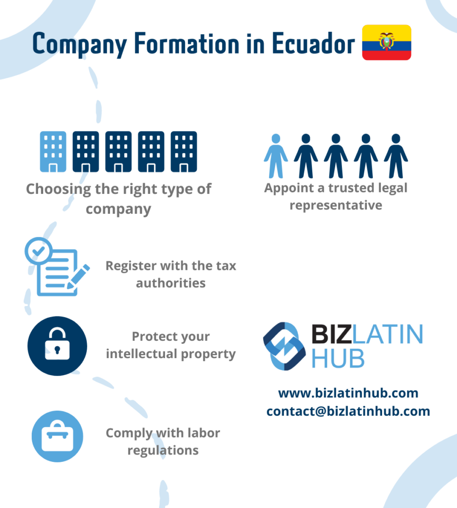 Infographic titled "Company Formation in Ecuador" with the Ecuadorian flag. Steps illustrated: Choosing from various types of companies in Ecuador, appointing a trusted legal representative, registering with the tax authorities, protecting your intellectual property, and complying with labor regulations. BizLatin Hub contact information listed.